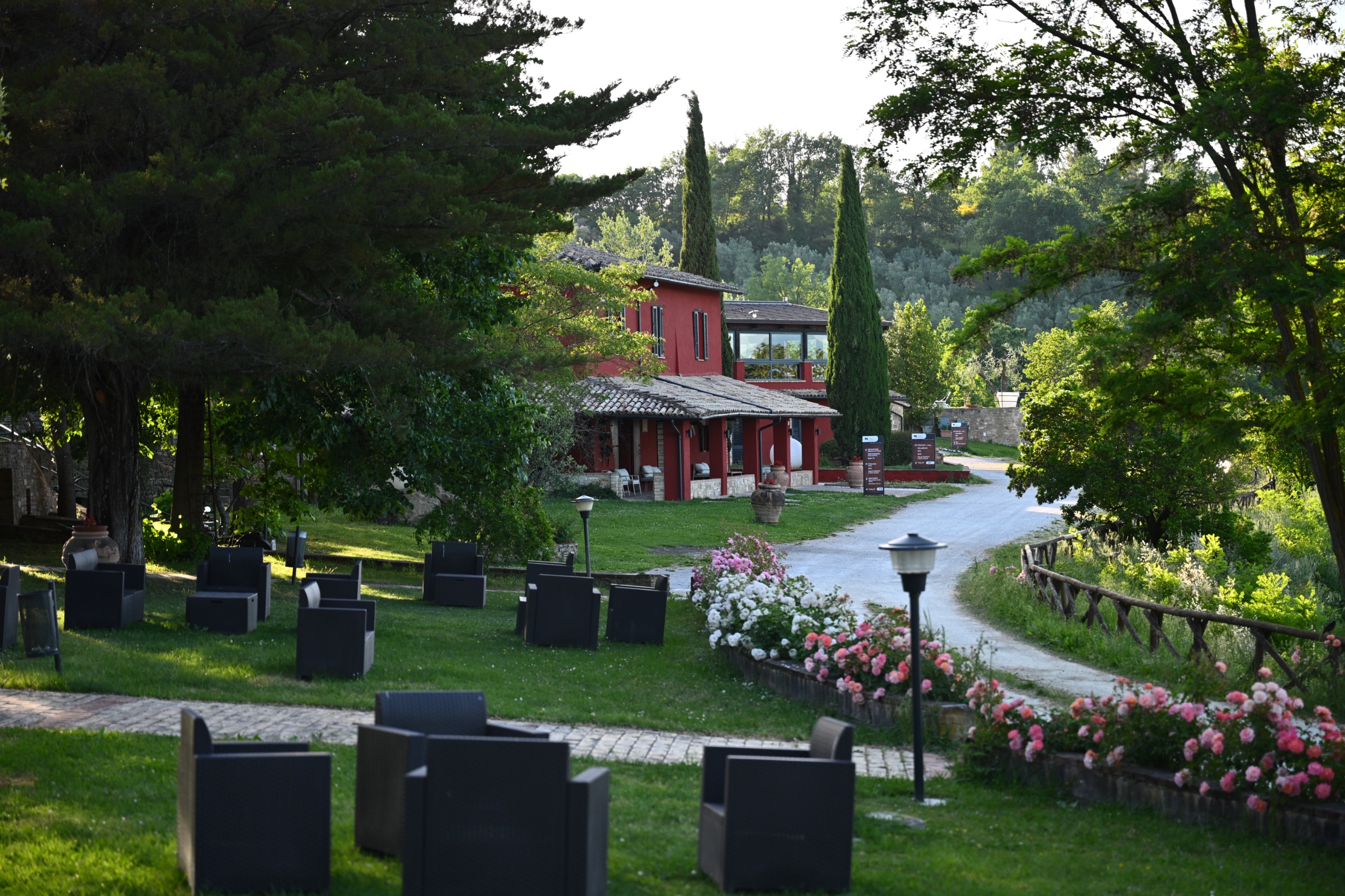 Gli ulivi del Poggio