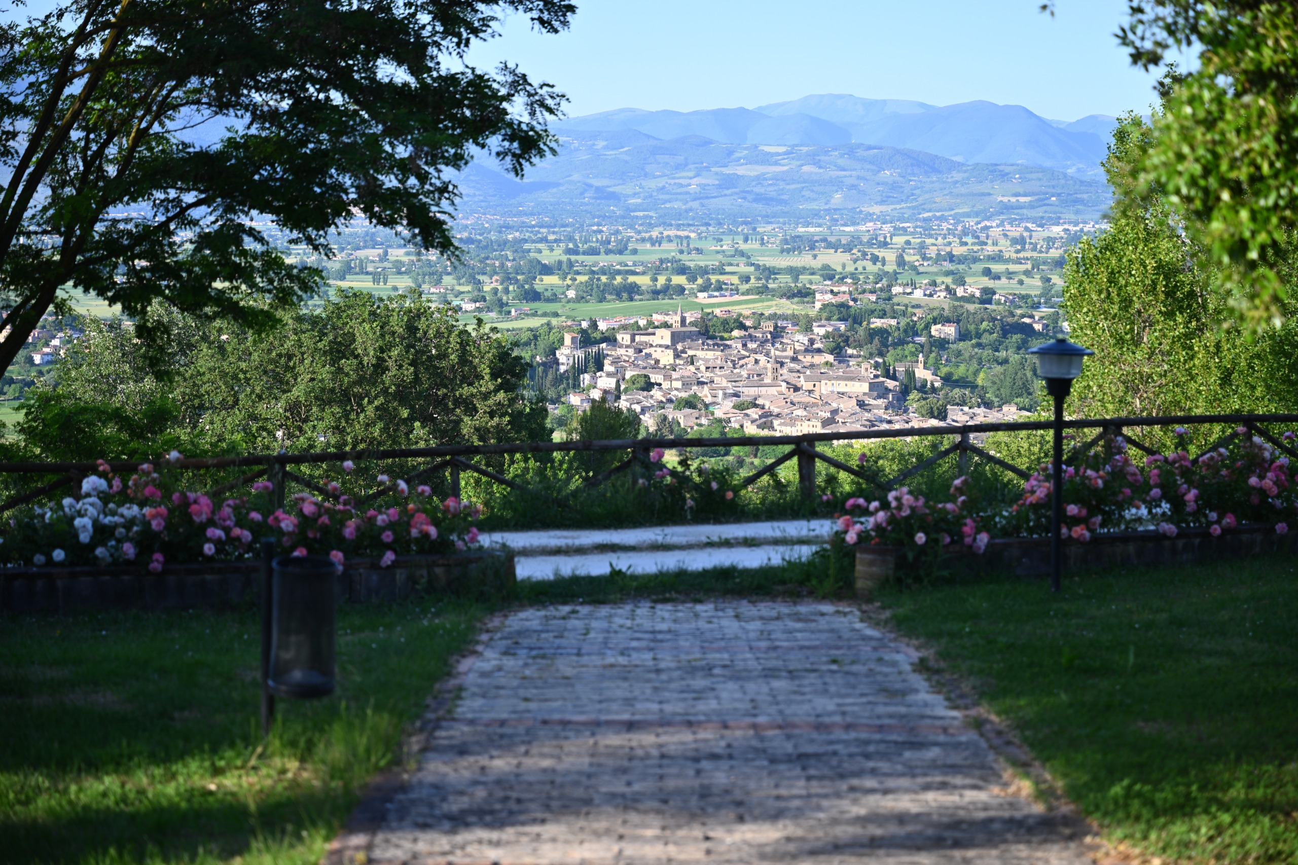 La natura intorno al Poggio